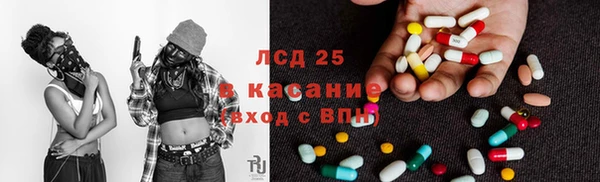 мяу мяу кристалл Костерёво