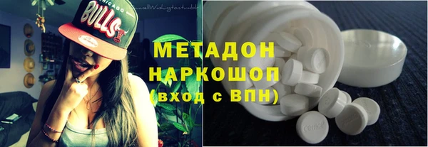 прущие грибы Коряжма