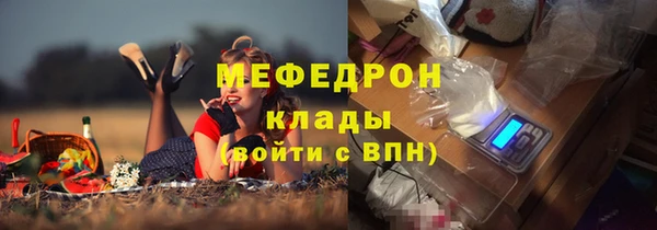 прущие грибы Коряжма