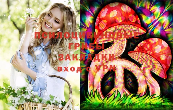 мяу мяу мука Корсаков