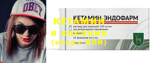 прущие грибы Коряжма