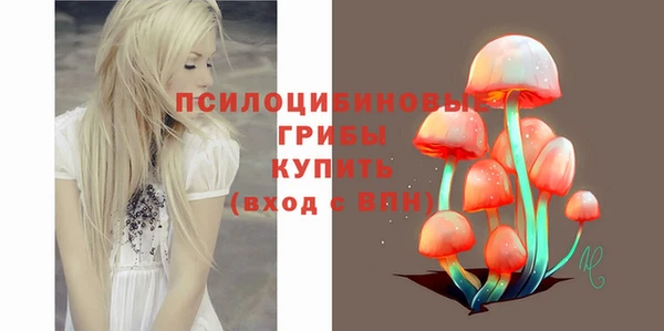 трава Краснослободск