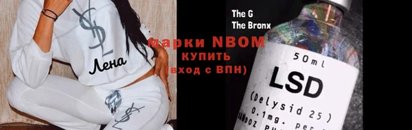 прущие грибы Коряжма