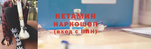 прущие грибы Коряжма