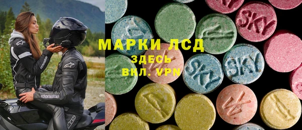 прущие грибы Коряжма