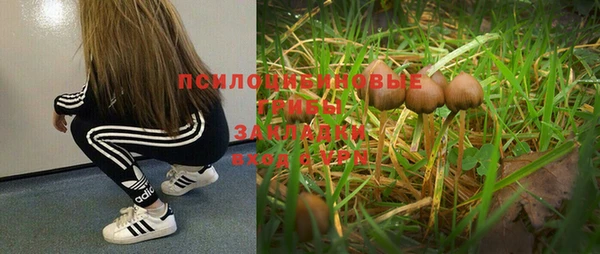 мяу мяу кристалл Костерёво