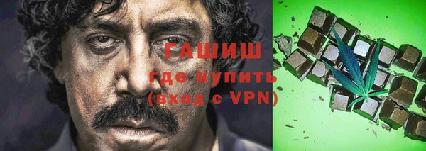 прущие грибы Коряжма