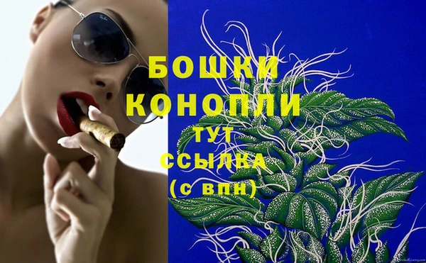 прущие грибы Коряжма