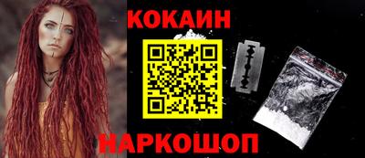мет Кингисепп