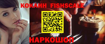 мет Кингисепп