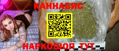 мет Кингисепп