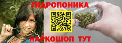 мет Кингисепп