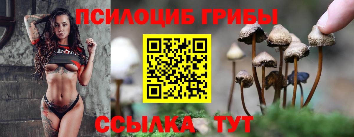 Галлюциногенные грибы ЛСД Ленинск-Кузнецкий