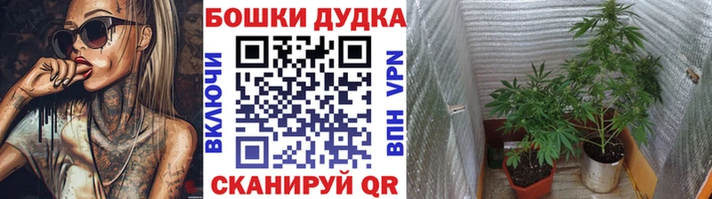 МАРИХУАНА тримм  где купить наркоту  Ленинск-Кузнецкий 